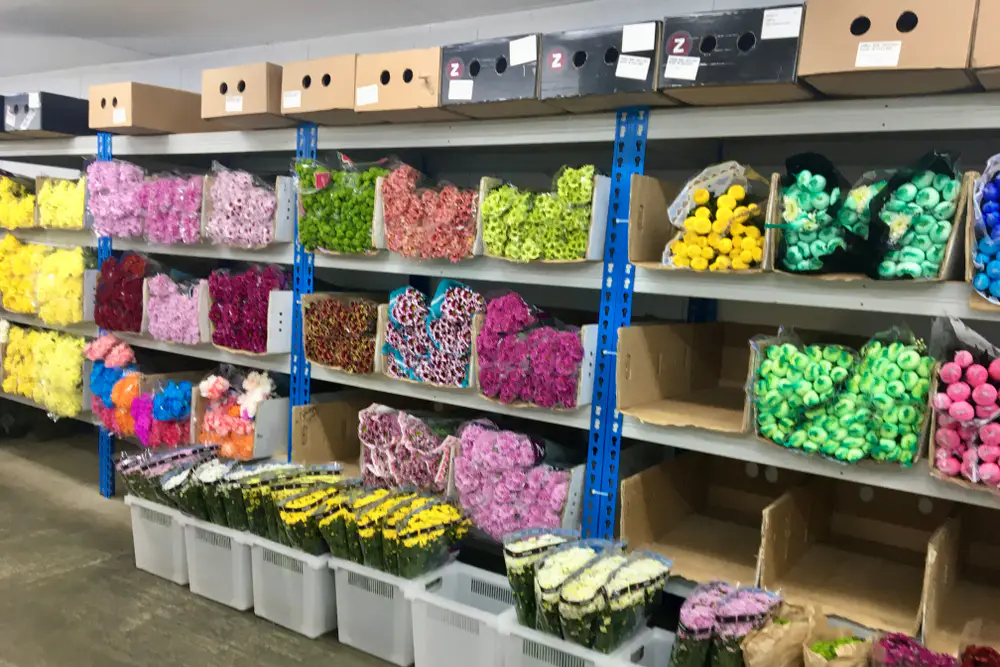 Blumen werden zwischengelagert
